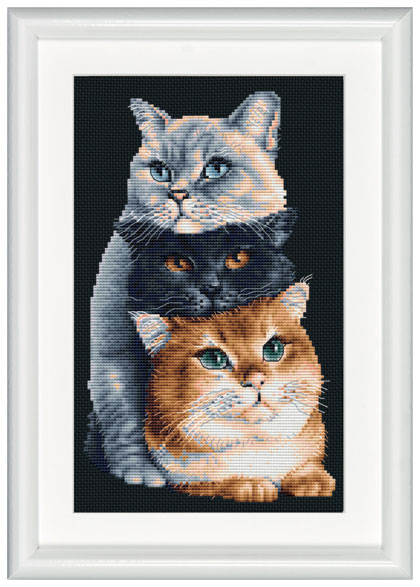 Three Cats - Nero