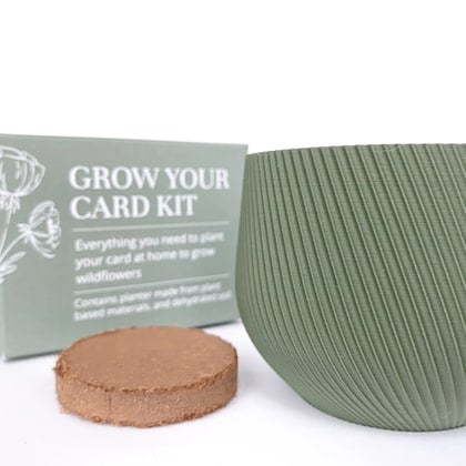 The Grow Your Card Kit - Verde