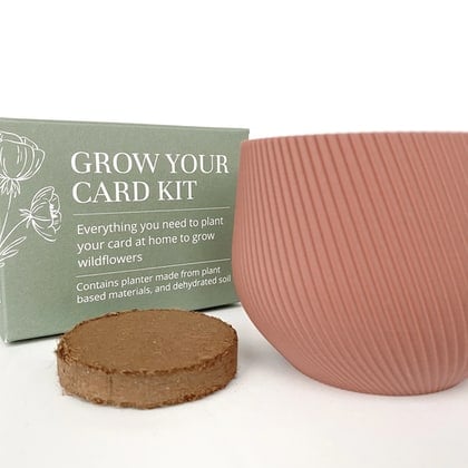The Grow Your Card Kit - Salmone