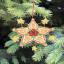 Decorazione - Stelle