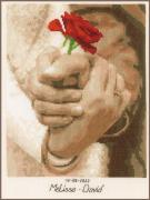 Rosa Nuziale