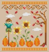 Pumpkin Patch