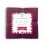 Feltro pack Baies d'hiver 15x15cm.