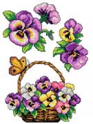 Viole