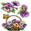 Viole