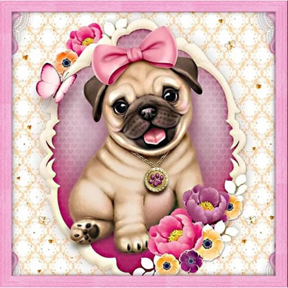 Baby Pug