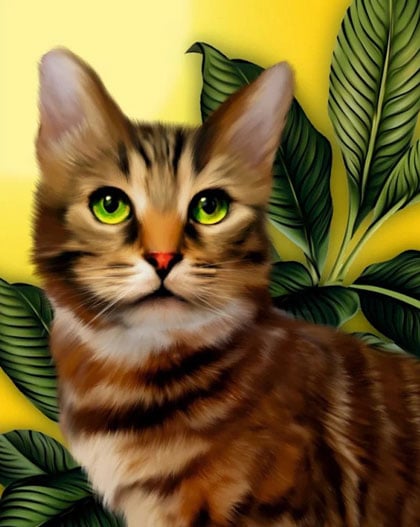 Green-eyed kitten