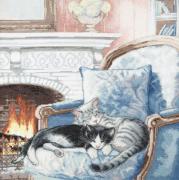 Dolci sogni