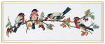 Bullfinch