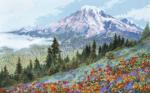 Alpine meadow