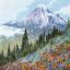Alpine meadow