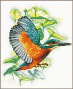 Martin Pescatore