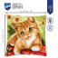 Cuscino: Gattino