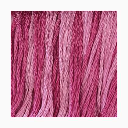 Priscilla\'s Peppermint
