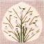 Snowdrop in Egg