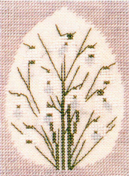 Snowdrop in Egg