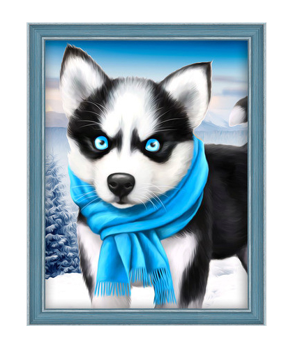 Blue Eye Husky