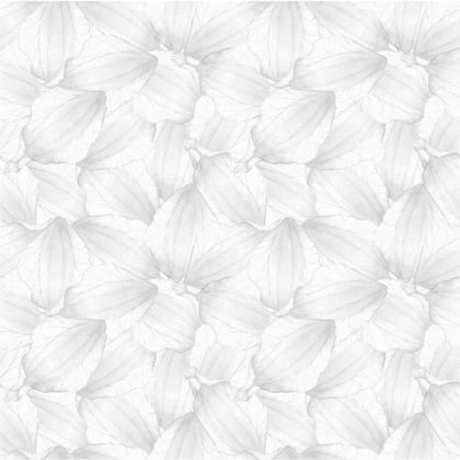 Tela Aida Stampata 14ct - Petali grigio perla 38X46CM