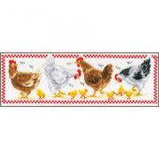 Galline