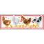 Galline