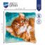 Gatto che fa le fusa