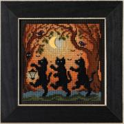 Autumn Series - Into the Woods