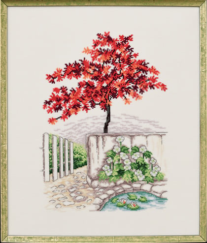 Japanese maple