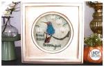 Broad Billed Hummingbird