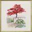 Japanese maple
