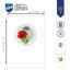 Biglietti di auguri: Fiori di campo - Set di 3