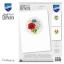 Biglietti di auguri: Fiori di campo - Set di 3