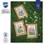 Fiori di campo - set di 3
