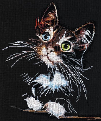 Gattino morbido
