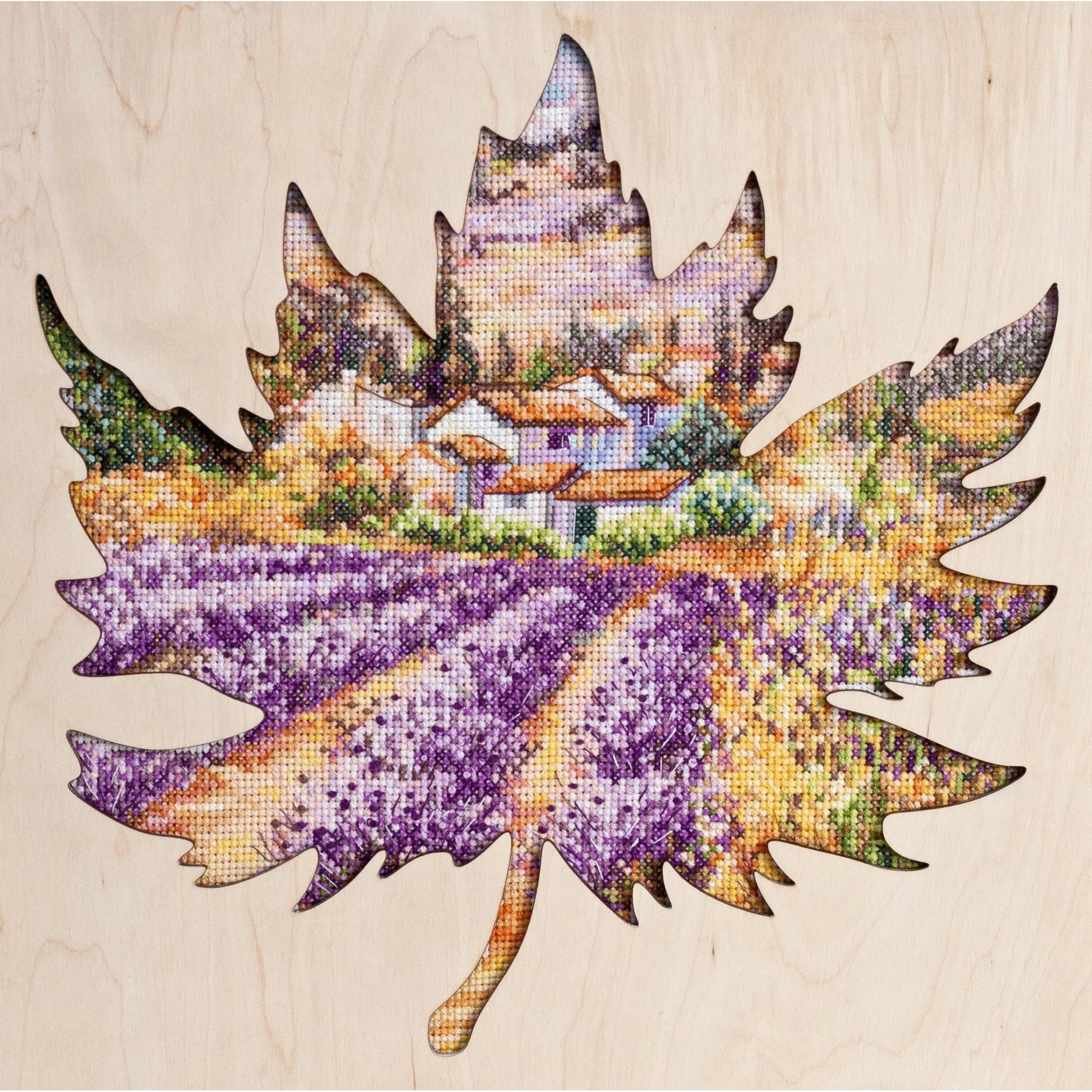 Campi di lavanda