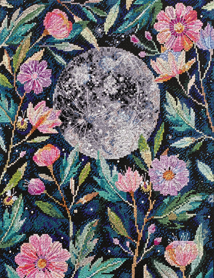 Segreti della luna