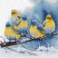 Eastern Bluebirds