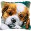 Cagnolino