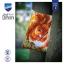 Cuscino: Scoiattolo in autunno