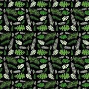 Tropical - Leaves on black