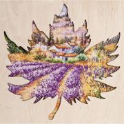 Campi di lavanda