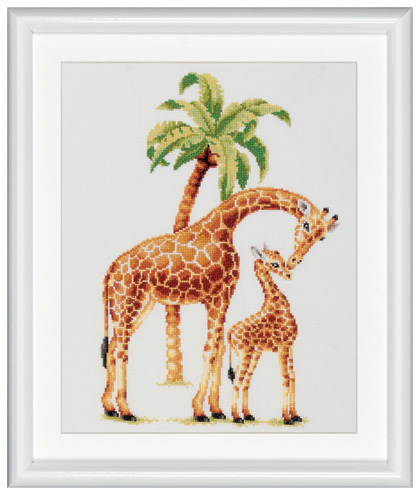 Safari Giraffe