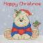 Christmas Cards - Polar Pals