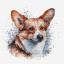 Welsh Corgi