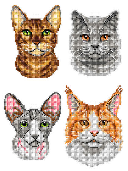 Cats (4)