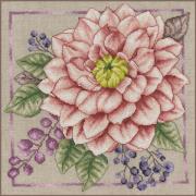 Blush in fiore