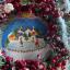 Pattini e Cristalli di neve