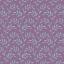 Olivebranch Lavender