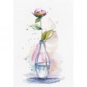Graceful peony (Dimitry Shvetsov)
