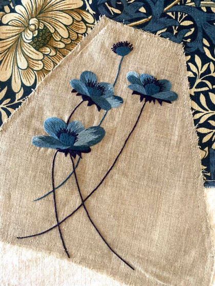 Anemona Blue