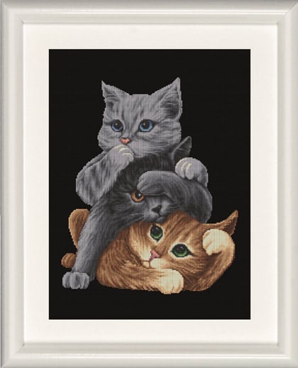 Hear no evil, See no evil, Speak no evil Cats - Nero